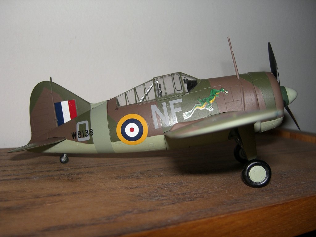 A finished Tamiya 1/48 Brewster Buffalo model standing on a table